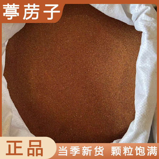 葶苈子中药材店铺药材大全正品实体店品质批发大货专卖可打粉