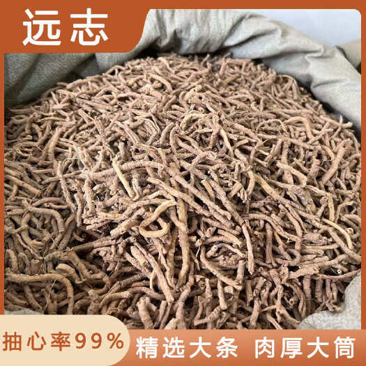 安国市远志中药材店铺药材大全正品实体店品质批发大货专卖可打粉