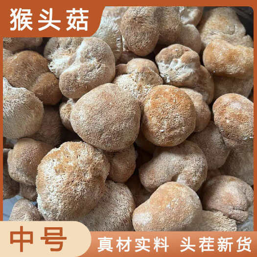 安国市猴头菇中药材店铺药材大全正品实体店品质批发大货专卖可打粉