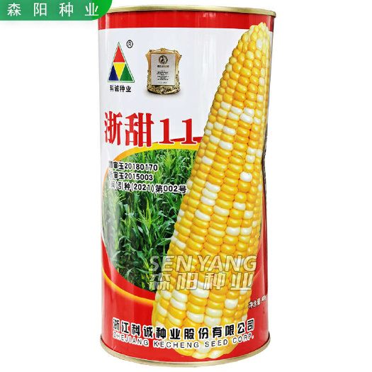 常德浙甜11玉米种子国审鲜食玉米双色甜玉米春秋季水果玉米杂交种科