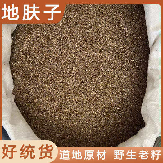安国市地肤子中药材店铺药材大全正品实体店品质批发大货专卖可打粉