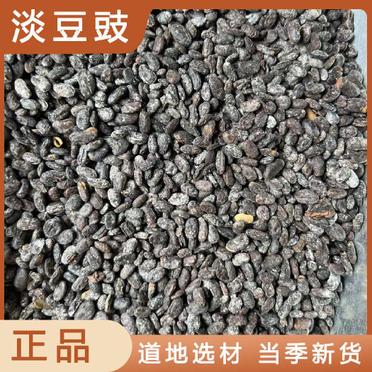 淡豆豉中药材店铺药材大全正品实体店品质批发大货专卖可打粉