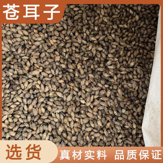 安国市苍耳子中药材店铺药材大全正品实体店品质批发大货专卖可打粉