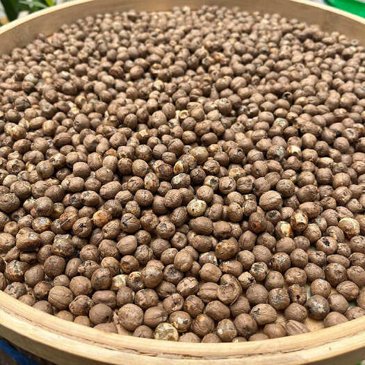 昆明竹米 竹子米 竹实 产地货源