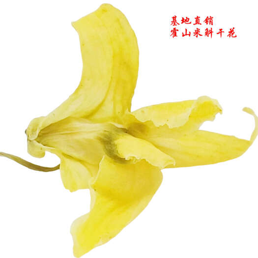 霍山县霍山米斛干花  米斛花  石斛花 基地直销 现货 顺丰包邮