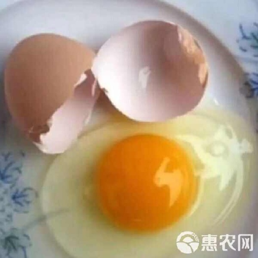 长沙土鸡蛋批发基地直供