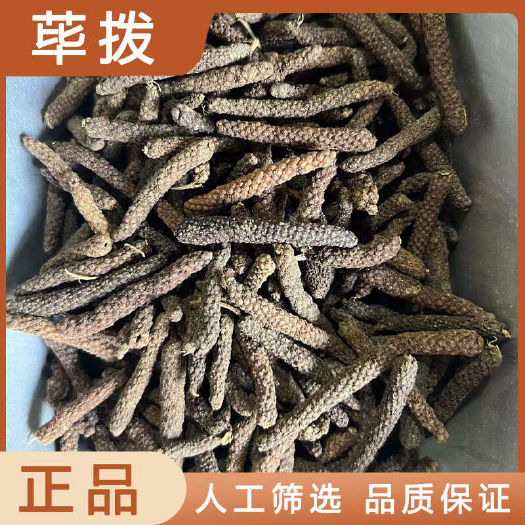 安国市荜拨中药材店铺药材大全正品实体店品质批发大货专卖可打粉