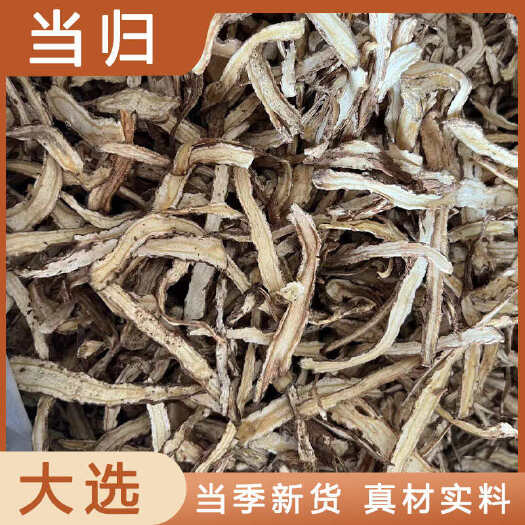 安国市当归中药材店铺药材大全正品实体店品质批发大货专卖可打粉