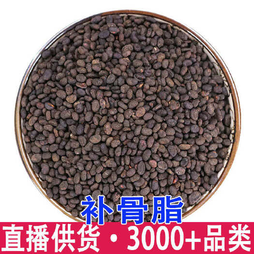 昆明补骨脂 破故纸 婆固脂 一手货源