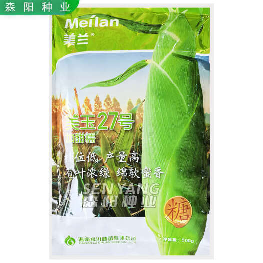 常德美兰美玉27号加甜糯玉米种子500克大包装高产大棒鲜食玉米白