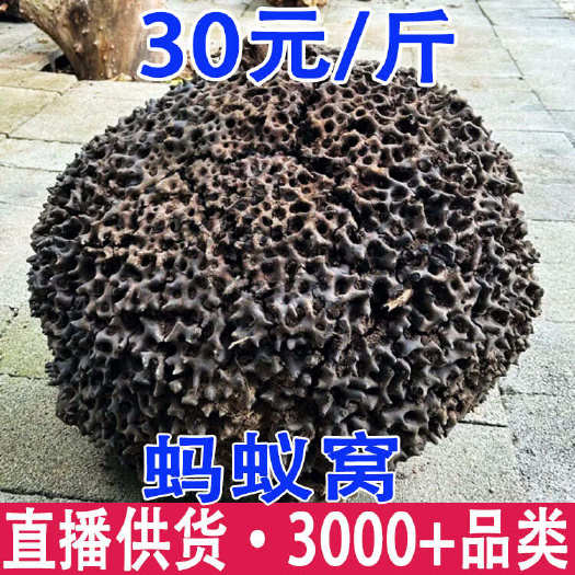 昆明蚂蚁窝 蚂蚁巢 黑蚂蚁窝 产地货源 一件代发