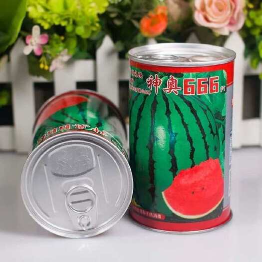 建瓯市神奥666西瓜种子 大红瓤 转色快 肉质紧实 口感甜脆