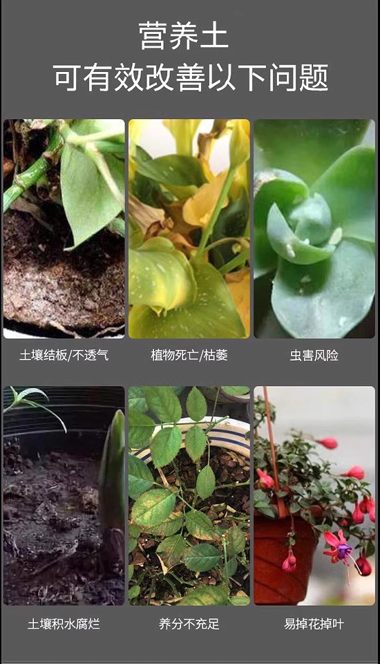 营养土养花通用型土壤种植土花土好用的有机土有机种菜
