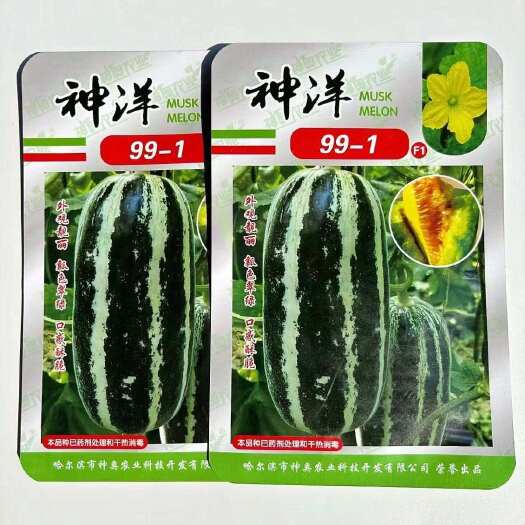 建瓯市神洋99-1甜瓜种子 口感清香酥脆 含溏度高 皮薄细脆