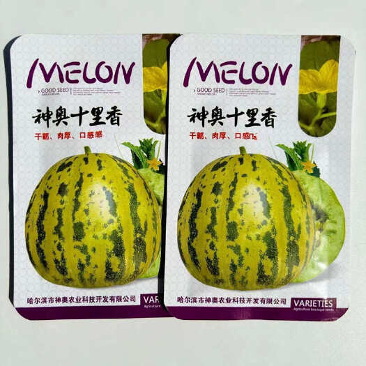 建瓯市神奥十里香甜瓜种子 干瓤肉厚 口感香甜 味道纯正 糖度高