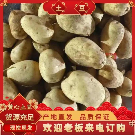 通许县黄心黄皮土豆，上车价便宜，适用于各大电商平台，商超，市场等
