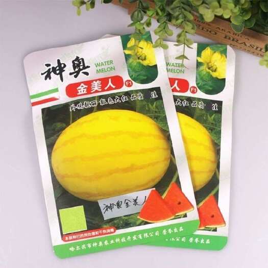 神奥金美人西瓜种子 果皮黄色 瓤色大红 皮薄坚韧