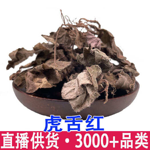 广西虎舌红虎脷红地毯红毛毡红毛毡老虎利天仙红农