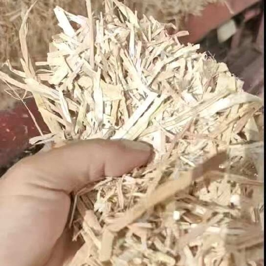 利辛县柔丝粉碎除尘小套袋大量出货