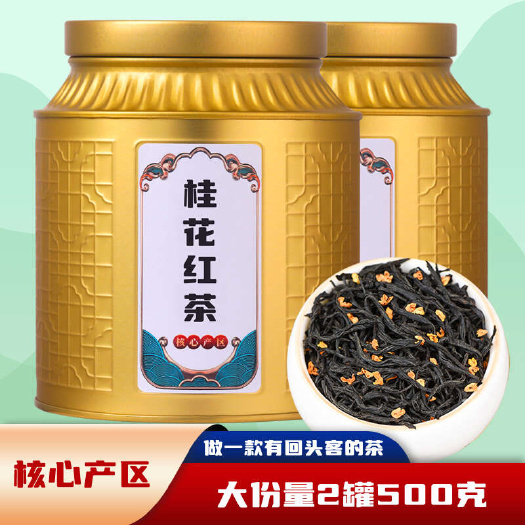 安溪县桂花红茶2024新茶正山小种武夷红茶浓香耐泡茶叶罐装500g