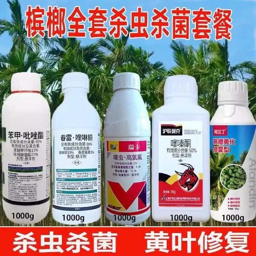 博爱县槟榔杀虫杀菌剂介壳虫套餐瑞卡联苯噻虫胺椰心叶甲跳甲黄叶一喷绿