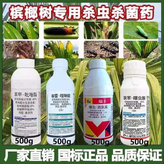 博爱县槟榔园专用杀虫杀菌套餐瑞卡高氯噻虫嗪联苯噻虫胺叶甲红棕象甲