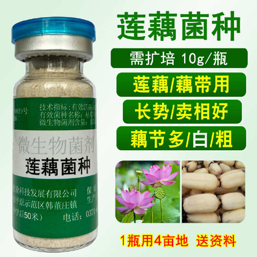 郑州益富源莲藕菌种底肥追肥莲藕宝营养液菊花心黄叶麻点藕锈生物菌肥