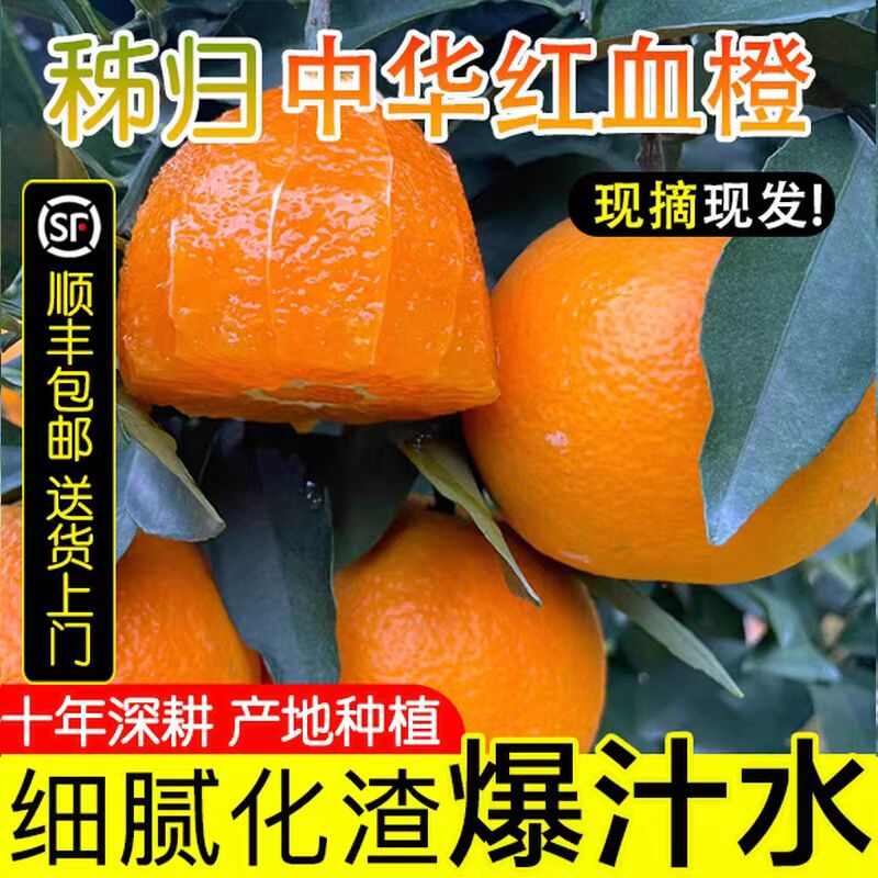 秭归中华红血橙皮薄肉嫩汁多甜精选大果大量批