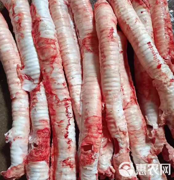 精修牛肺管，牛喉管脆骨，新鲜干净牛气管有头无头可选