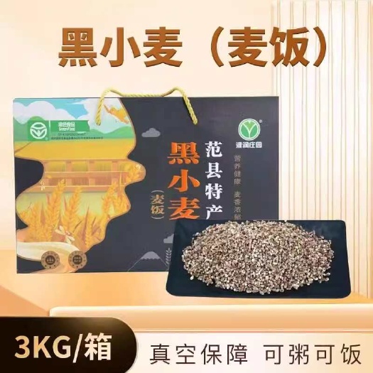 范县黑小麦麦饭3kg礼盒装黑麦仁黑麦子米饭全麦五谷杂粮粗粮健身粥