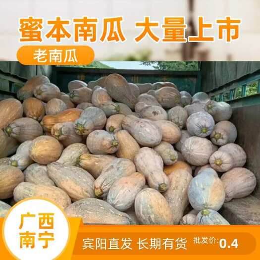 宾阳县蜜本南瓜 广西南宁 产地直发 单个重4-6斤 软糯香甜