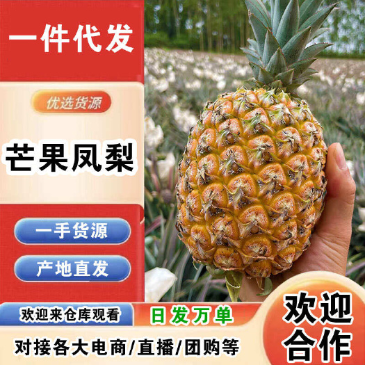 海南芒果凤梨一件代发产地直发一手货源对接各大电商平台