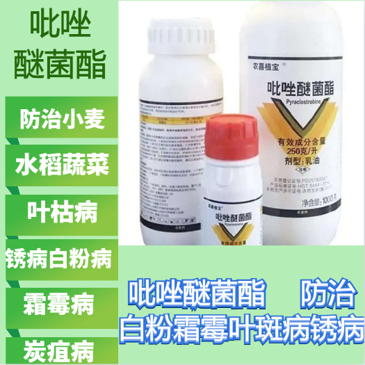 寿光市25%.吡唑醚菌酯防治白粉霜霉叶斑病锈病等广谱杀菌剂厂家直供