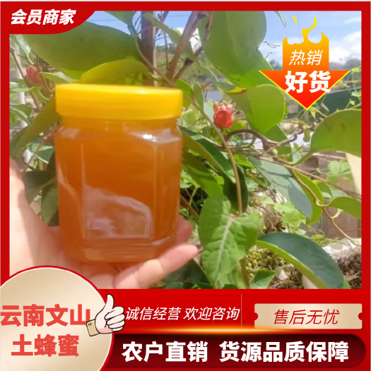 云南文山土蜂蜜 营养滋补 支持定制代发  品保障 农户直销