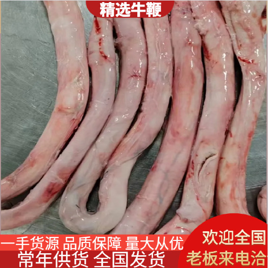 汕头精修鲜牛鞭