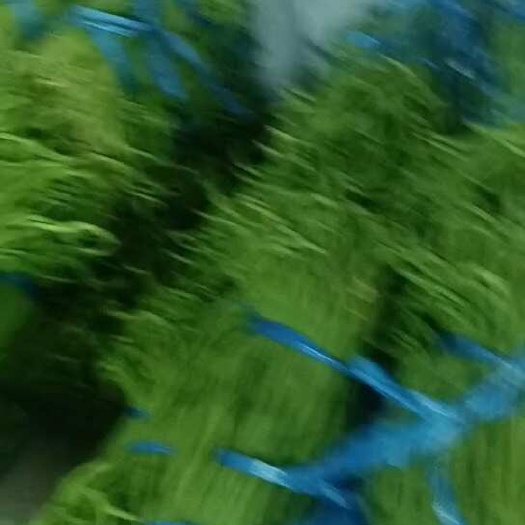 江豆上新货需要的老板联系