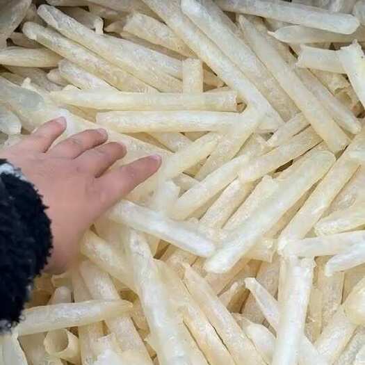 北海笔筒胶 巴沙鱼胶 指甲筒胶 花胶 油发筒胶55-60头一斤