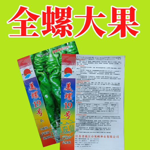 镇研美螺19号畅销全螺形螺丝椒种子抗逆抗病香辣高产早春辣椒种