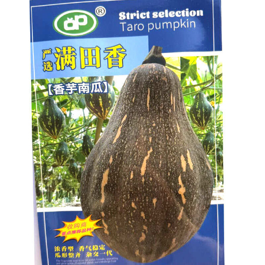 满田香香芋南瓜种子 杂交一代 浓香型 肉色金黄 口感粉嫩