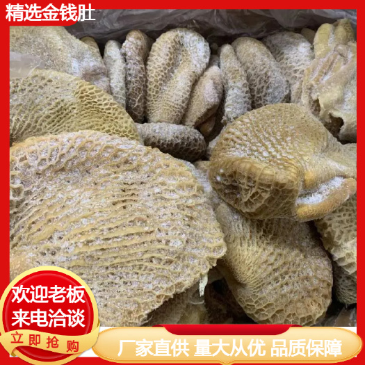 汕头精选金钱肚供各大餐饮火锅批发超市厂家直供量大从优