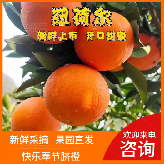 奉节脐橙 一件起批 纸箱包装发货