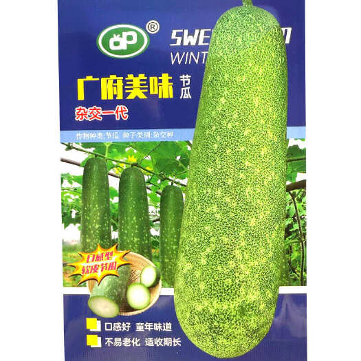 广府美味节瓜种子 软皮淡绿肉 口感软甜 早熟耐热