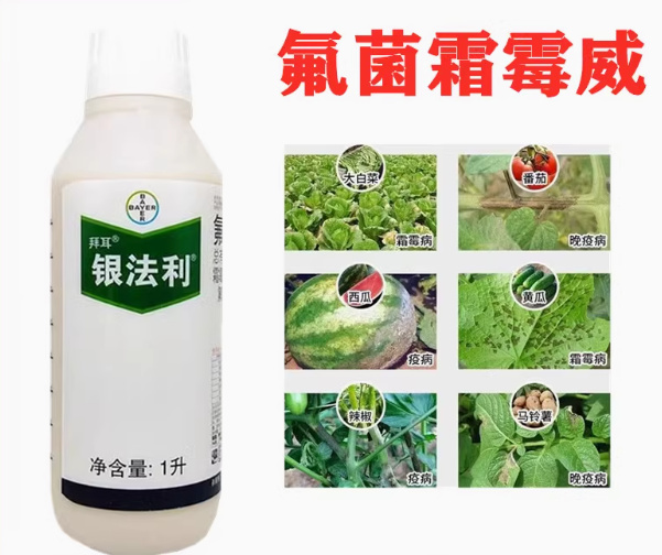 长沙银法利氟菌霜霉威 霜霉病晚疫病黑胫病晚疫病农药杀菌剂