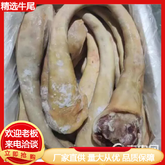 汕头精选牛尾火烧供各大餐饮火锅批发超市厂家直供量大从优