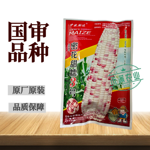 武汉密花甜糯3号彩甜糯玉米种子 国审大包装软糯香甜高产南北方春秋