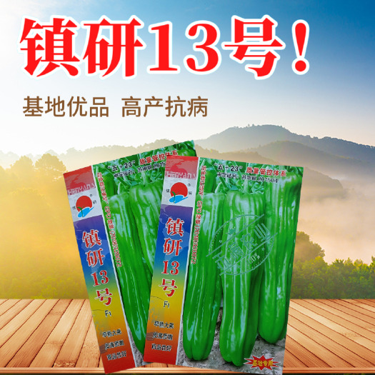 武汉镇研13号大果辣椒种籽薄皮辣椒种子大全春秋季蔬菜种孑四季新品