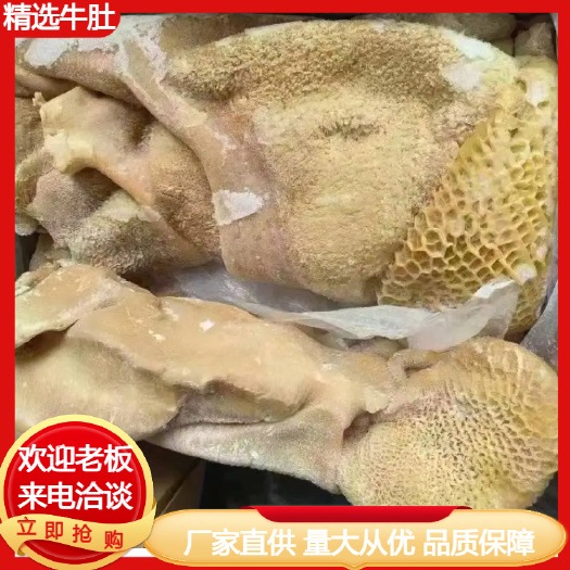 汕头精选干水牛肚供各大餐饮火锅批发超市厂家直供量大从优
