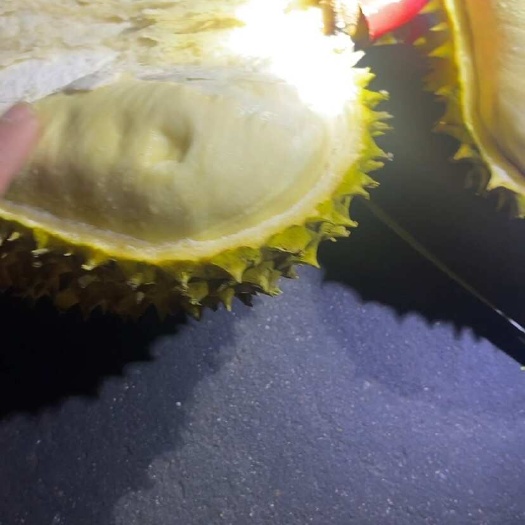 广州金枕榴莲 干包大黄肉口感香甜软糯