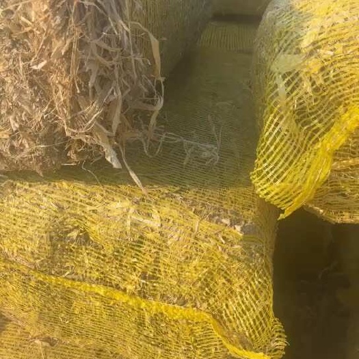 邯郸柔丝玉米秸秆饲料