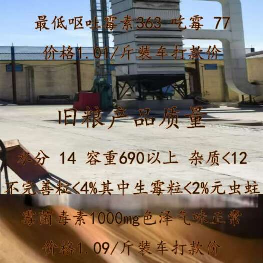 玉米粒